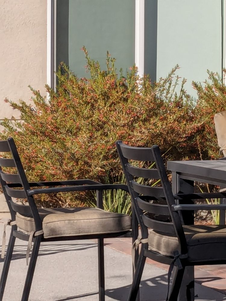 TRELLIS CENTENNIAL Updated October 2024 14 Photos & 29 Reviews