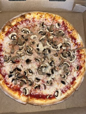 Possum Pizza by null