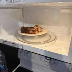 Robin Hood Village Resort - Chicken left in microwave from previous guest.