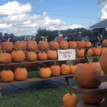 Dame Farm & Orchard - 75 cent a pound - Farmers Market Near Me - Johnston, Rhode Island