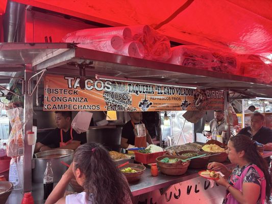 Tacos "El Gato Volador" by null