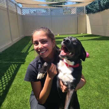 Bark Park - Photo updates! Clearly my puppy is having the time of his life - Pet Sitting Near Me - Spring Valley, California Bark Park - Photo updates! Clearly my puppy is having the time of his life - Pet Sitting Near Me - Spring Valley, California