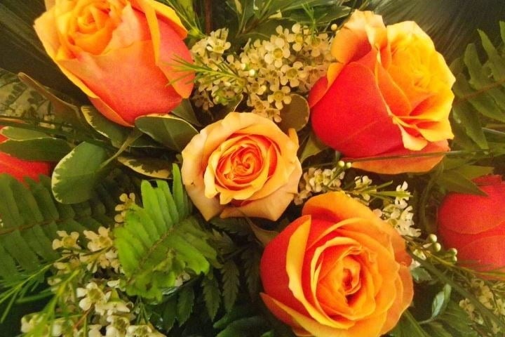 elizabeths garden florist