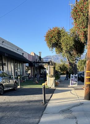 Mary Lane Cafe by null