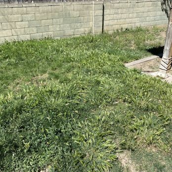 Red Shovel Landscape - Landscaping Near Me - Albuquerque, New Mexico