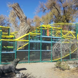 The Rio Grande Zoo Playground - The whole enchilada