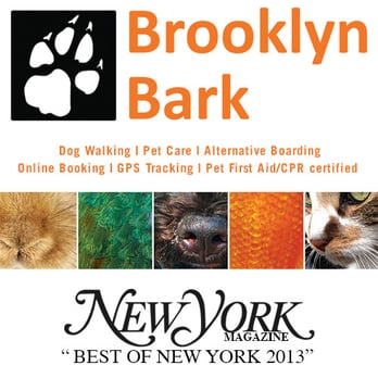 Brooklyn Bark - We care for all animals - not just dogs and cats. We've cared for small animals such as rabbits, rats, birds and much more! - Dog Walkers Near Me