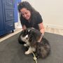 Paw by Paw Veterinary Rehabilitation