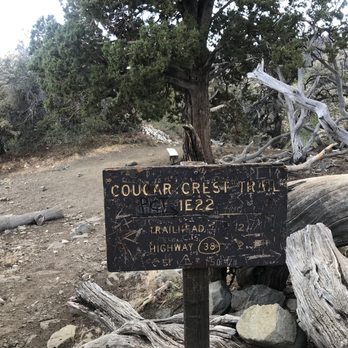 Cougar Crest Trail - Hiking Near Me Cougar Crest Trail - Hiking Near Me