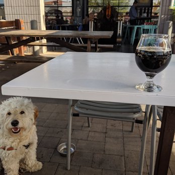 Sip Coffee & Beer - Happy Hour for dogs! - Coffee & Tea Near Me - Phoenix, Arizona Sip Coffee & Beer - Happy Hour for dogs! - Coffee & Tea Near Me - Phoenix, Arizona