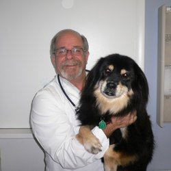 North Laurel Animal Hospital - Dr. Bob with his dog, Shorty
