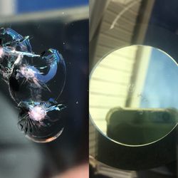 Palo Duro Glass - Before and after pic of 3 chips together.