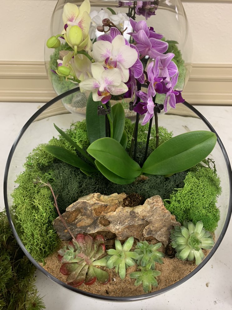 MY DIY TERRARIUM 19 Photos 2418 Black Gold Ct, Houston, TX Yelp