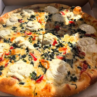 Little Coyote by null