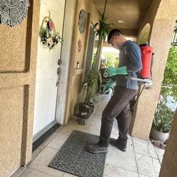 Leading Pest Control - Pest Control Near Me Leading Pest Control - Pest Control Near Me