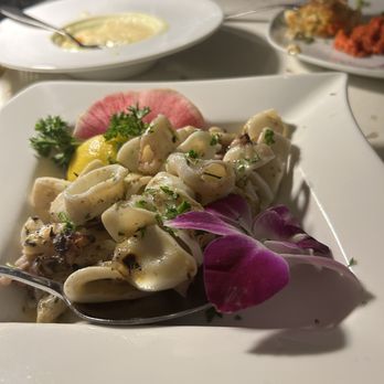 Theos Estiatorio - Grilled Calamari - Greek Near Me - Fort Lauderdale, Florida