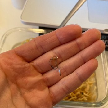 Bo Loong Restaurant - Piece of metal found in my seafood broth that came with pan fried noodles! - Chinese Near Me - Cleveland, Ohio Bo Loong Restaurant - Piece of metal found in my seafood broth that came with pan fried noodles! - Chinese Near Me - Cleveland, Ohio