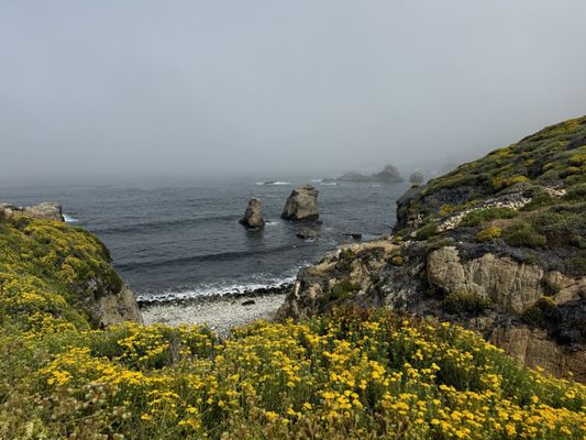 Garrapata State Park by null