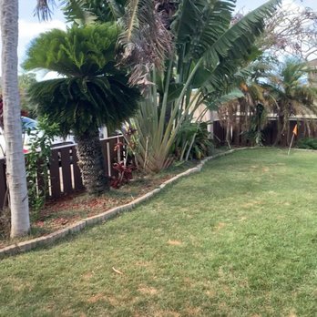 Mr. Alone Services - Tree Services Near Me Mr. Alone Services - Tree Services Near Me