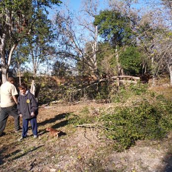 The Mean Green Team - Tree removal and clean up - Tree Services Near Me