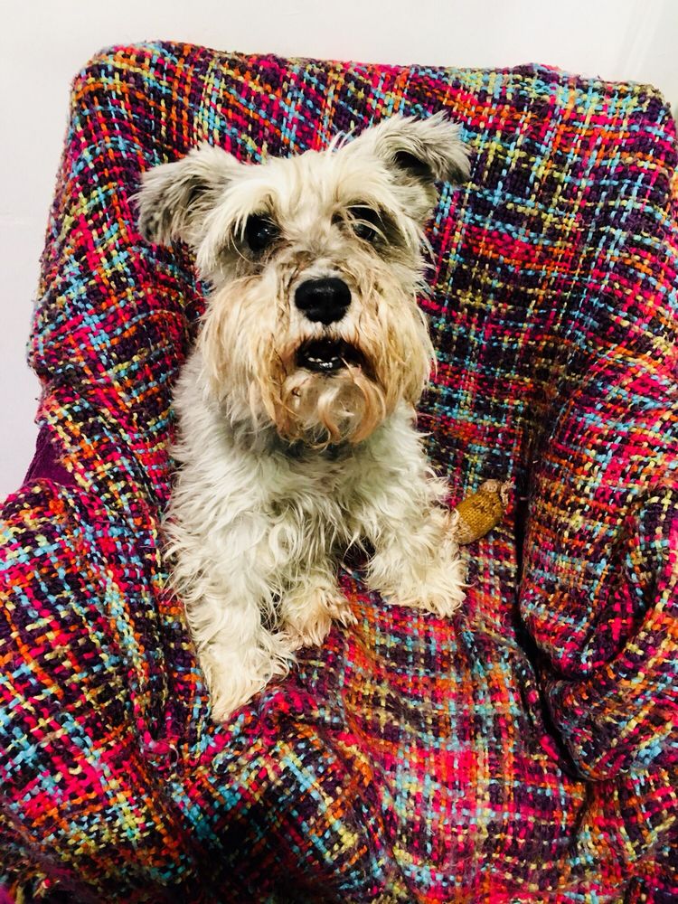 MY SHOP GRANNY LIKES IT Updated August 2024 13 Photos Upper