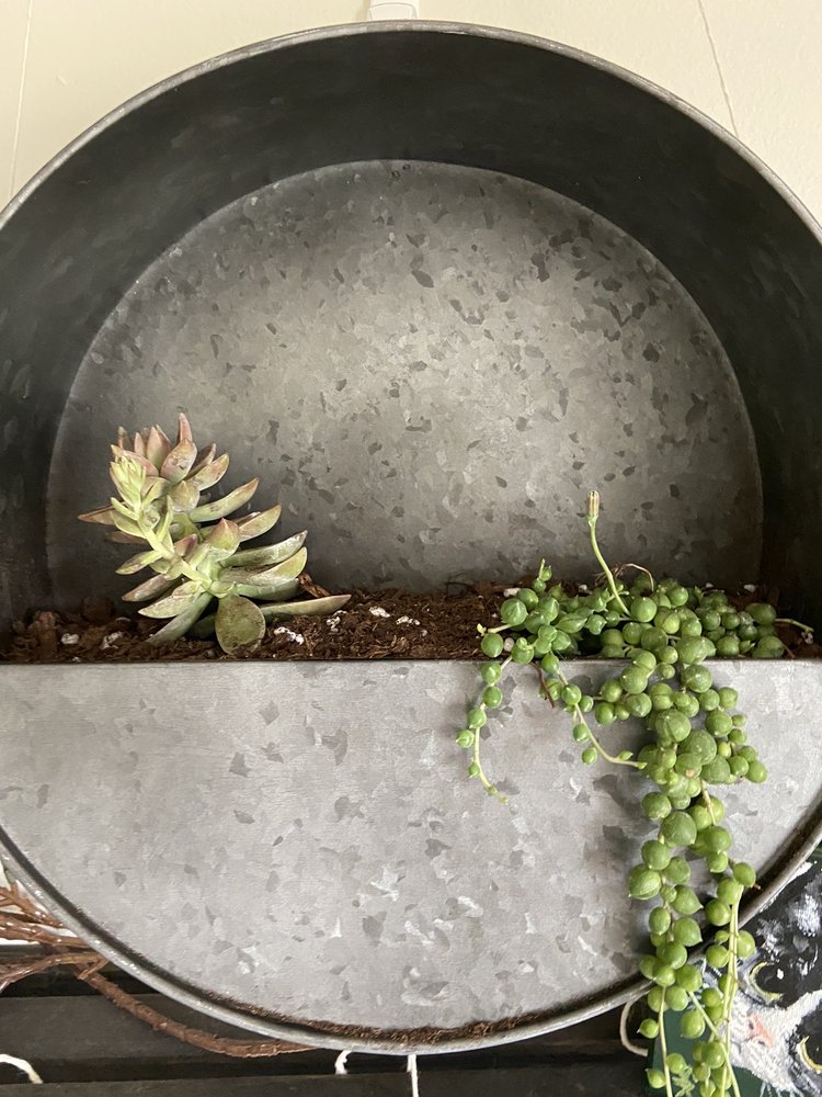 HOBBIT GREENHOUSES Updated October 2024 5996 Spring Arbor Rd