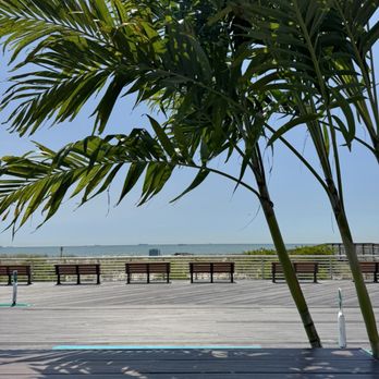 Driftwood Lbny - Juice Bars & Smoothies Near Me - Long Beach, New York Driftwood Lbny - Juice Bars & Smoothies Near Me - Long Beach, New York