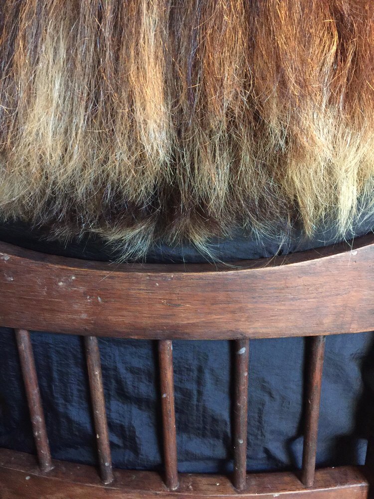 STEEL MAGNOLIA Updated October 2024 115 Pan American Dr, Livingston