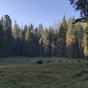 Holey Meadow Campground - Campgrounds Near Me - Porterville, California Holey Meadow Campground - Campgrounds Near Me - Porterville, California