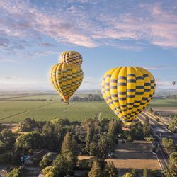 Balloons Above the Valley