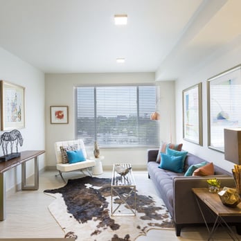 7/S Denver Haus - 7/S Denver Haus - Apartments Near Me - Denver, Colorado