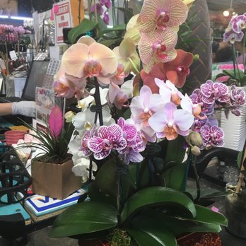 Flora Clay - Florists Near Me - Los Angeles, California Flora Clay - Florists Near Me - Los Angeles, California