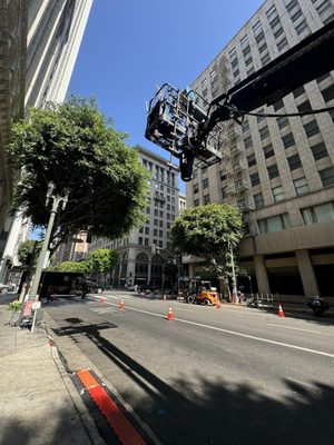Milano Lofts Apartments by null