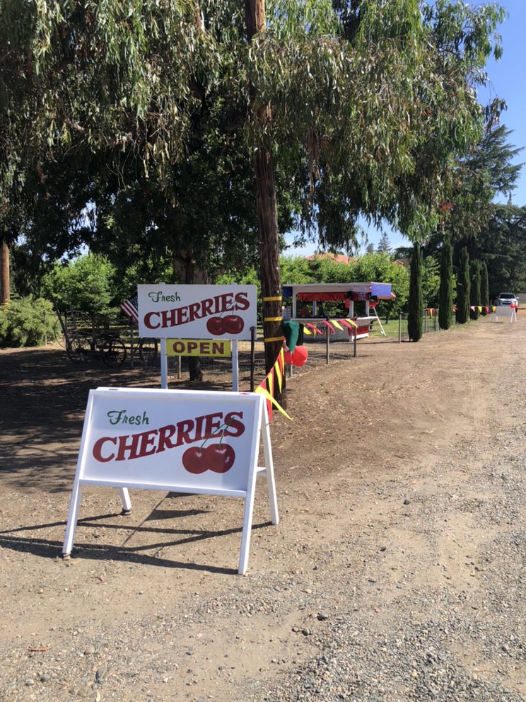 Lavagnino Orchard's Cherry Stand Logo