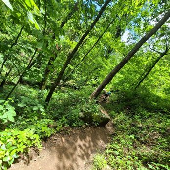 Mount Yonah Trailhead - Hiking Near Me - Cleveland, Georgia Mount Yonah Trailhead - Hiking Near Me - Cleveland, Georgia