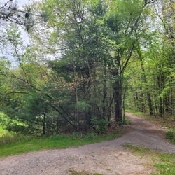 Town Forest Baseball Field - Access to the Farmington River Trail, no signage