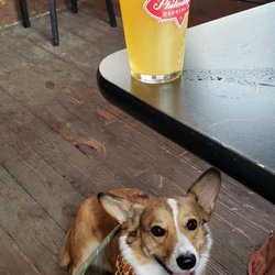 Atlantis, The Lost Bar - Dog friendly