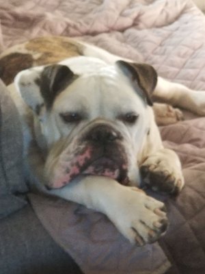 Freedom Northwest Crediu Union