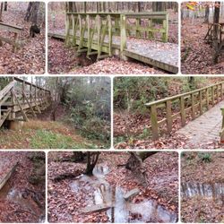 Chattahoochee Bend State Park - Bridges of Riverside Trail