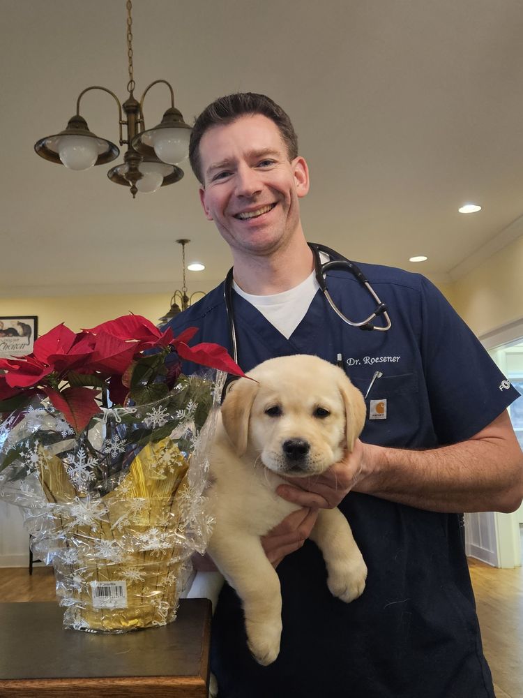 Kennett Square Veterinary Hospital Image