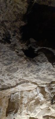 Dunmore Cave by null