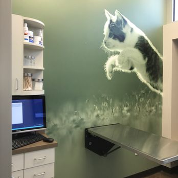 CityVet - Mid-Cities - Veterinarians Near Me - Bedford, Texas