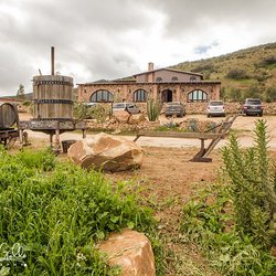 Olivia - Front view