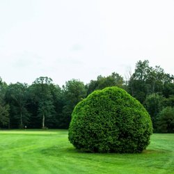 Maplewood Golf Club