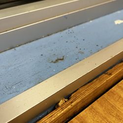 The Catch - Dirt and food in the window