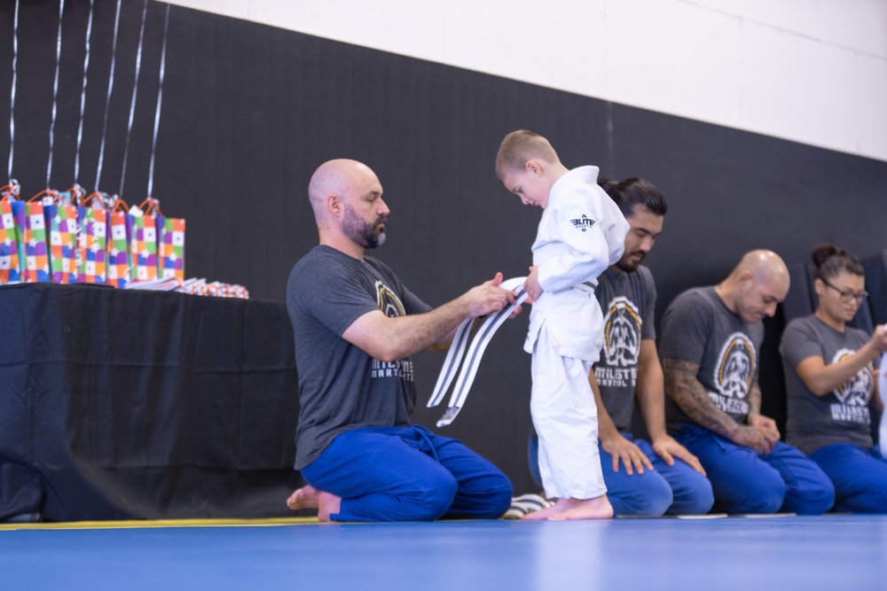 Milestone Martial Arts Logo