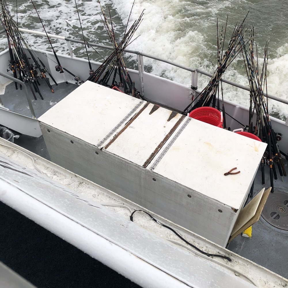Hurricane Fleet - Back of boat where all of the sea urchins and sand dollars weren't displayed. - Fishing Near Me - Calabash, North Carolina
