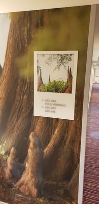Hotel Indigo Baton Rouge Downtown, an IHG Hotel by null