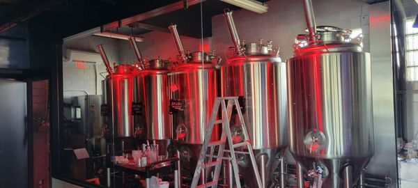 Tranquility Brewing Company by null