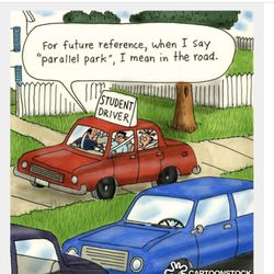 Natali's safe driving school - Smile before driving lesson